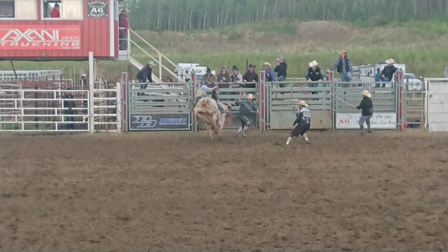 Cold Lake Rodeo, Bull Riding