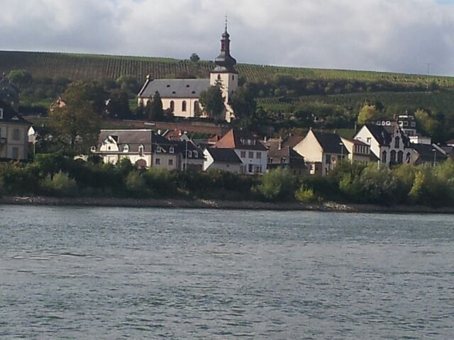the Rhine