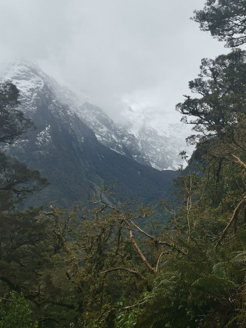 18.11.2019 Milford Sound. No selfie or anything? Fraser's Beach and Key Summit