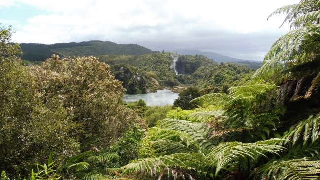 Blick über das Waimangu Volcanic Valley