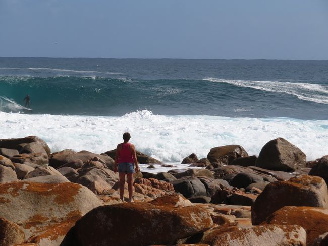 Die Surfer bei „The Granites“ bewundern
