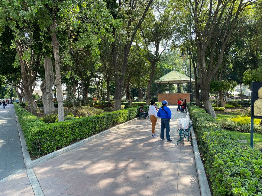 Garden of Las Mañanitas