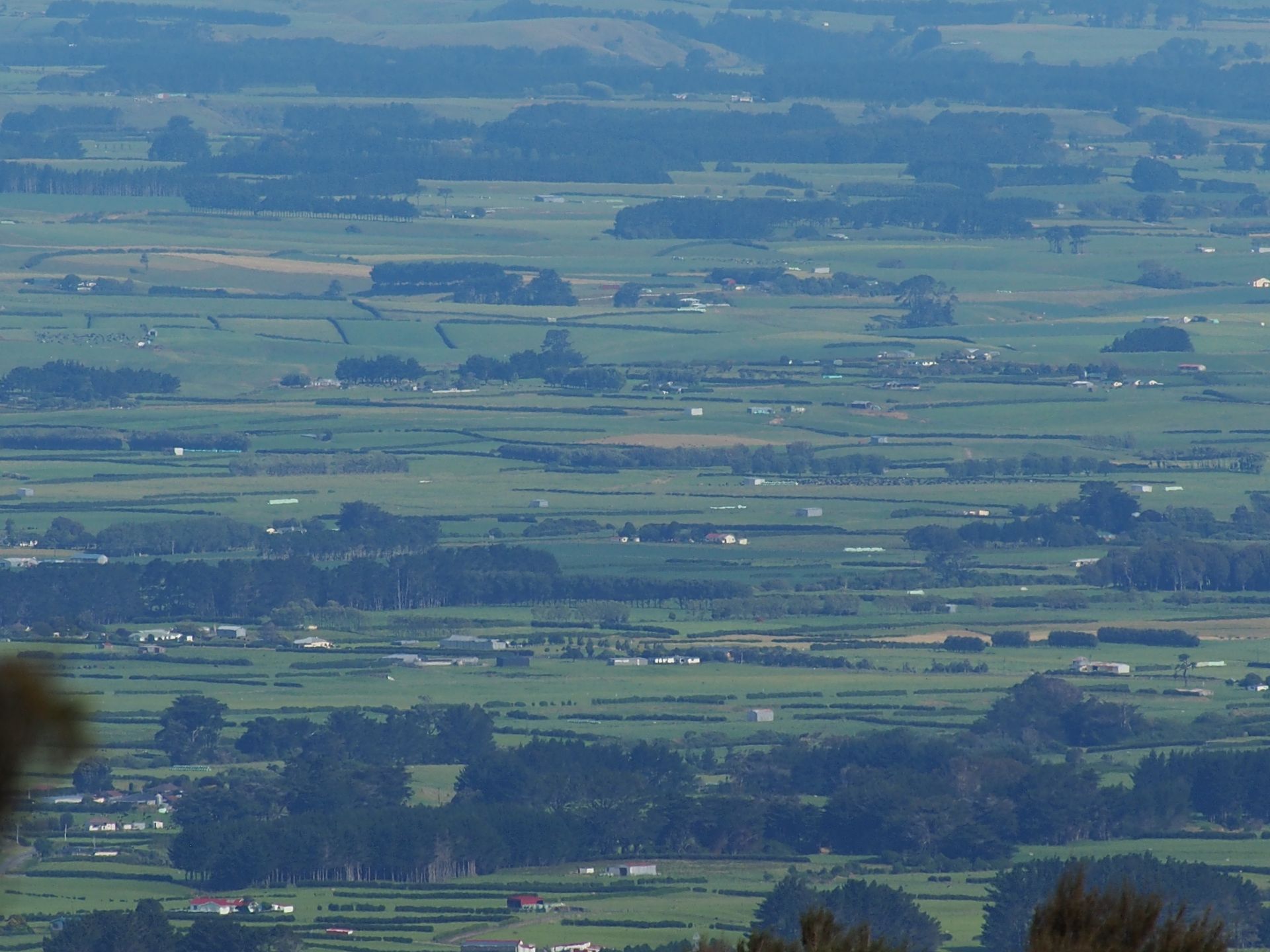 View from Taranaki