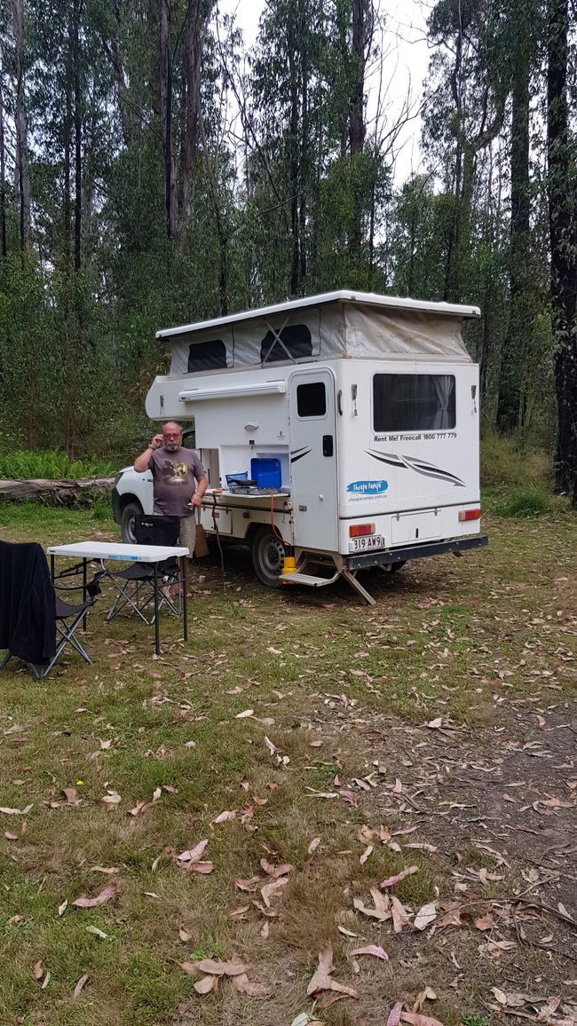 unser Campingplatz im Wald