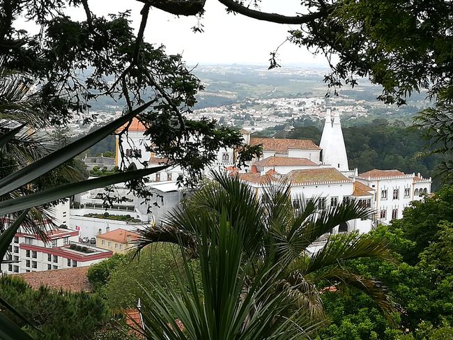 Studienfahrt nach Lissabon - Ausflug nach Sintra