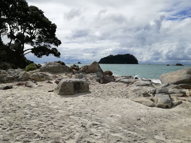 Post 8: Impressions from the North Island