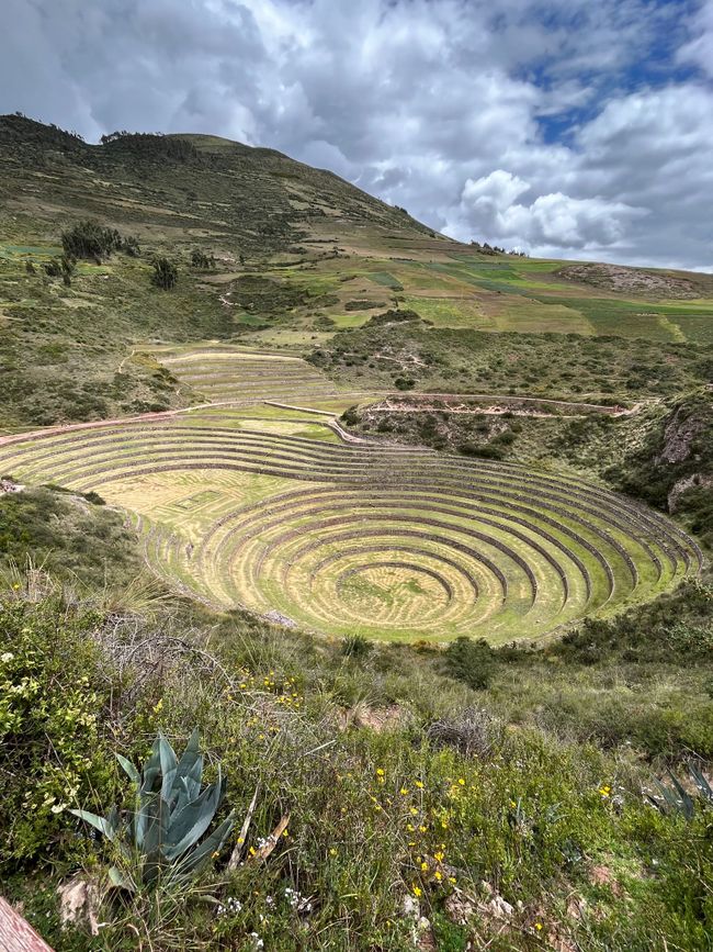 Cusco - Back to Civilization at 3400m