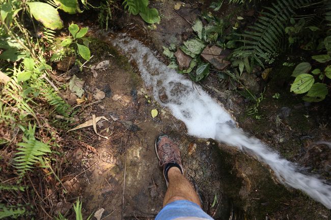 Head over heels into the jungle (Day 20 of the world trip)