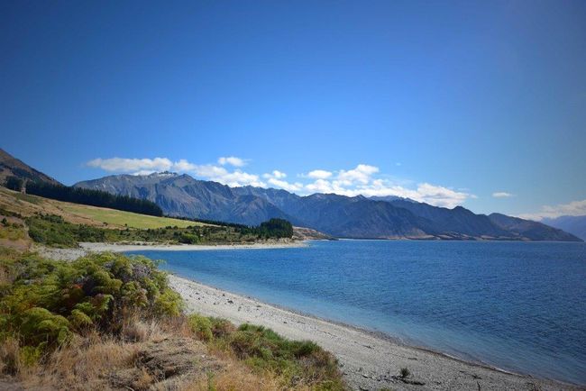 Wanaka - West Coast of New Zealand (Haast)