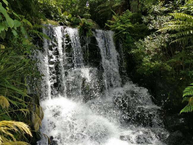 Waterfall at the Kiwi Encounter