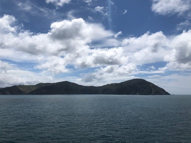 Seventh day of travel, ferry to the South Island