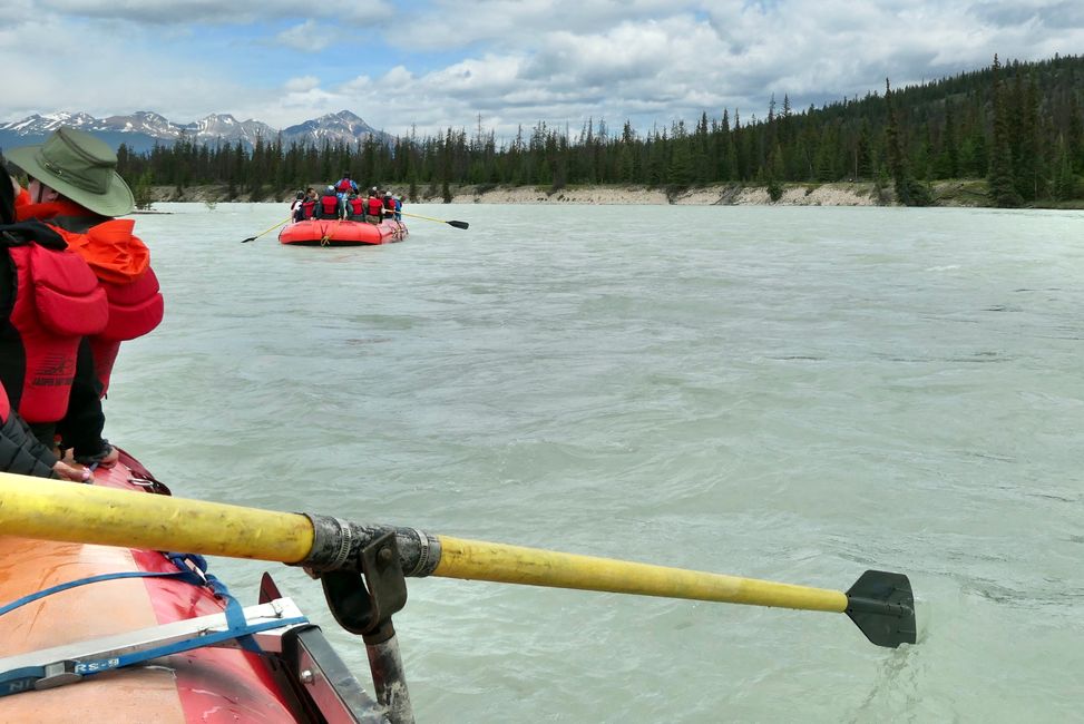So. 10.7.: Jasper - Rafting, Reflections and a Grizzly Bear