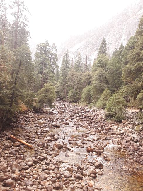 Merced River with some water
