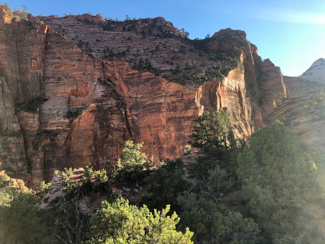 Tag 37 - Roadtrip to Zion National Park