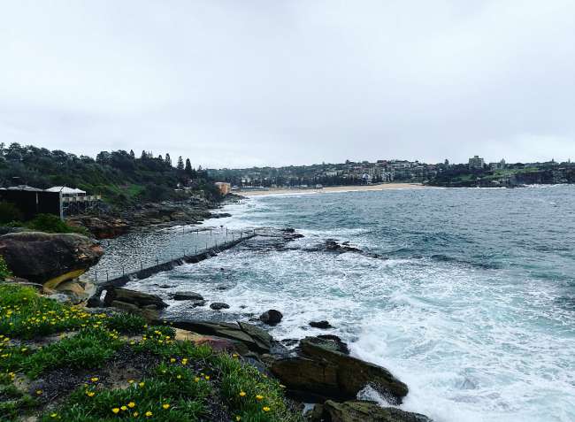 Even on a cloudy day, my heart is full of joy . Coogee