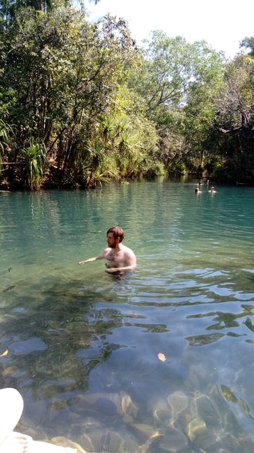 Kakadu National Park and Bitter Springs