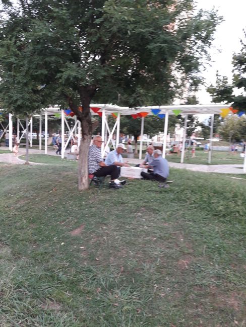 Men playing in the park