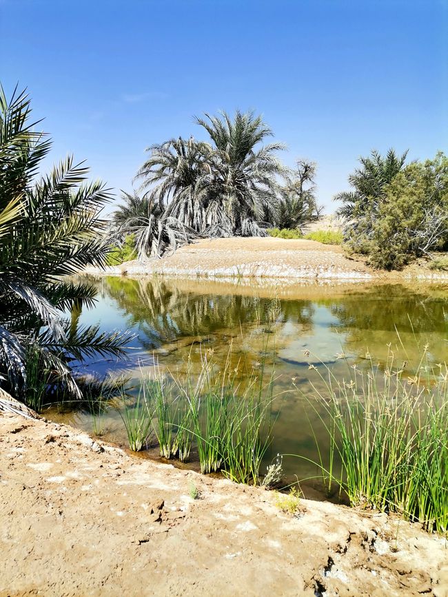 Visita à Wadi Mahlit