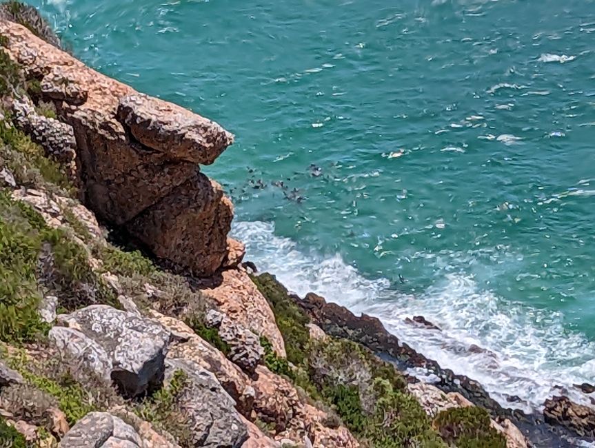 Plettenberg Bay/Robberg Nature Reserve