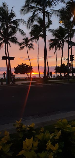Vorerst der letzte Tag auf Oahu