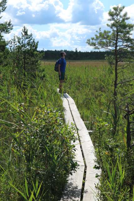 Valgejärve - Hike in the Estonian Bog