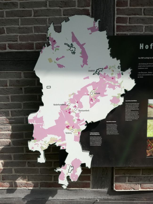 La Lüneburger Heide no consiste solo en brezo, así que averigua antes hacia dónde deberías pedalear