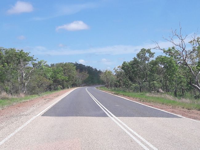 Roadtrip Tag 76 / Back in Darwin