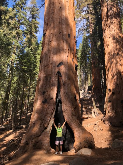 Sequoia Nationalpark 24.9.18
