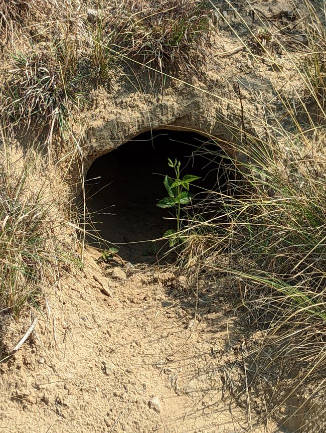 I wonder who lives here?