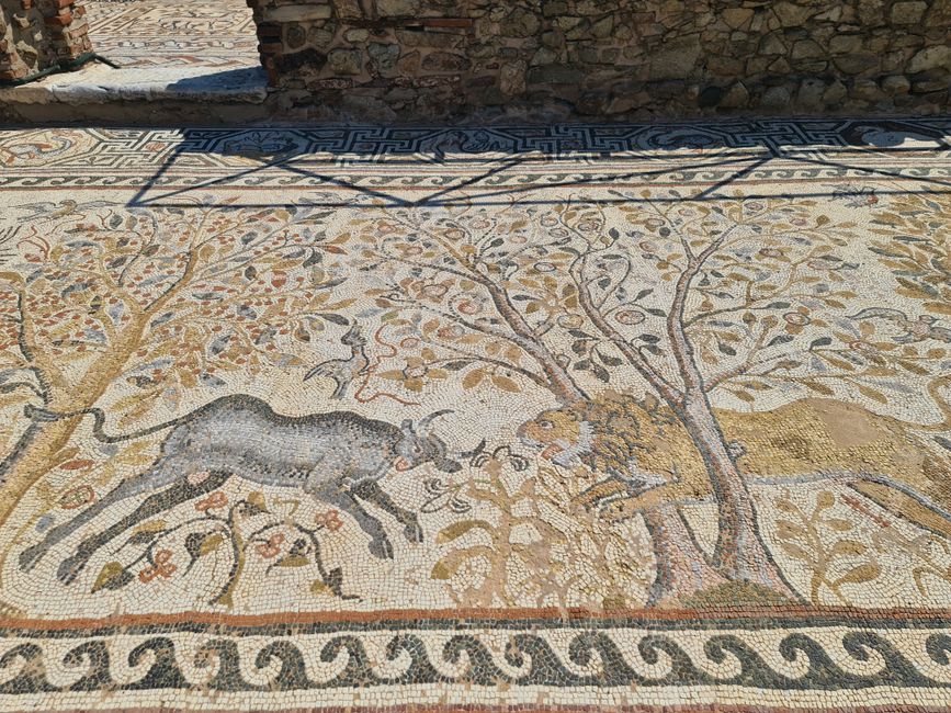 Besonders bekannt ist Heraklea für seine alten Mosaike.