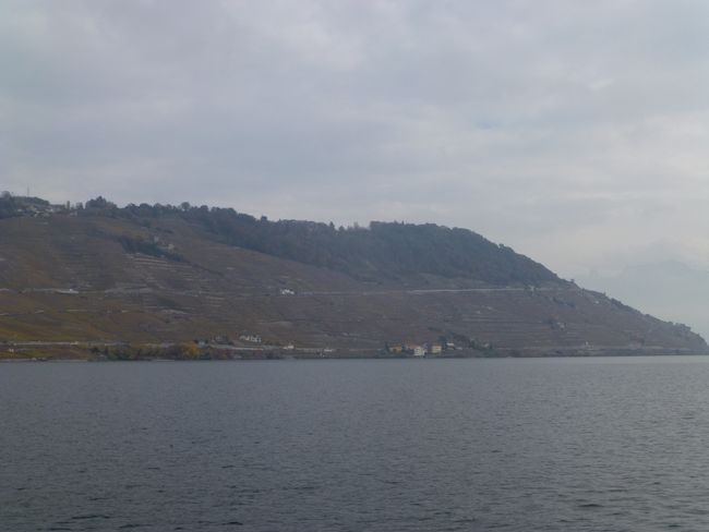 Lavaux Terrace