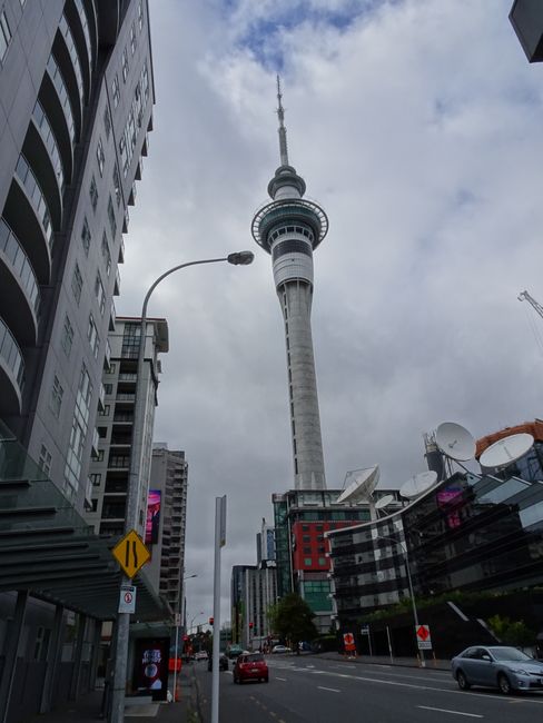 Welcome to Auckland