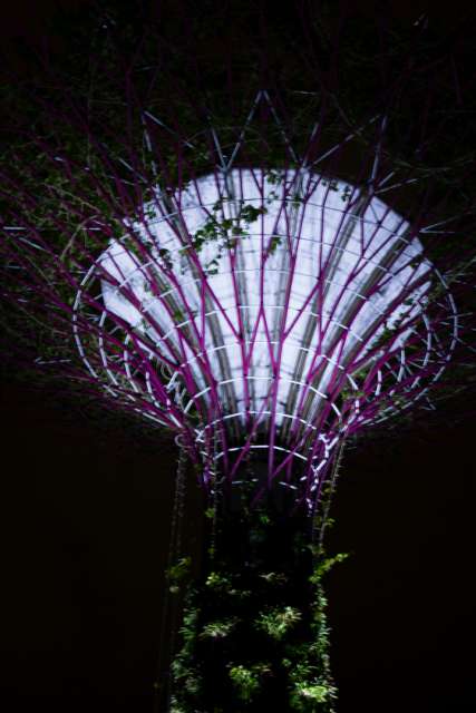 Gardens by the Bay / Tree