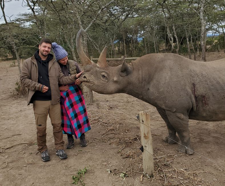 Petting Rhinos 🦏😅