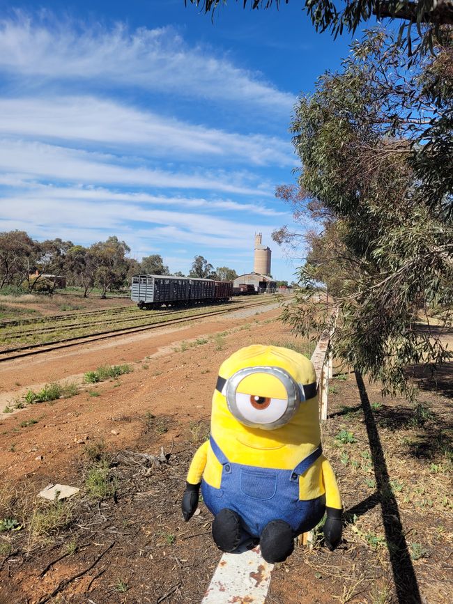 Stuart sightseeing: old railway