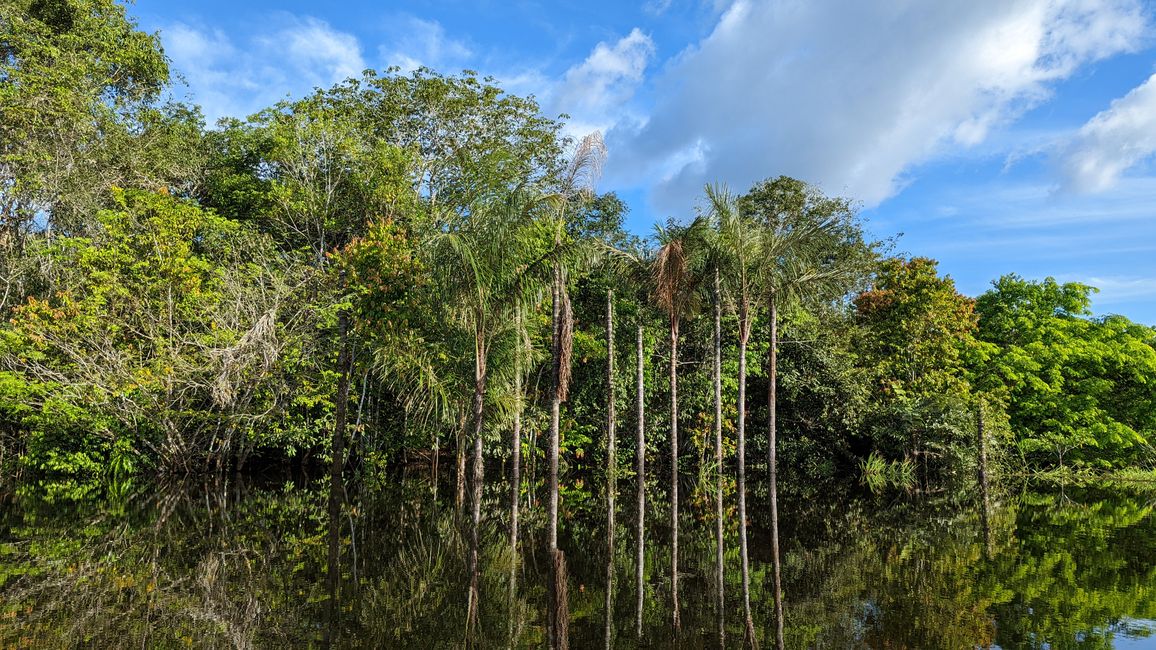 2. Día en la selva amazónica