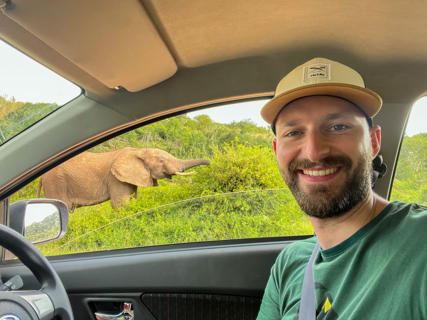 Addo-Elephant-Nationalpark & Port Elizabeth