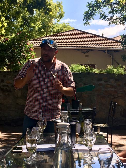 Weinprobe in Stellenbosch