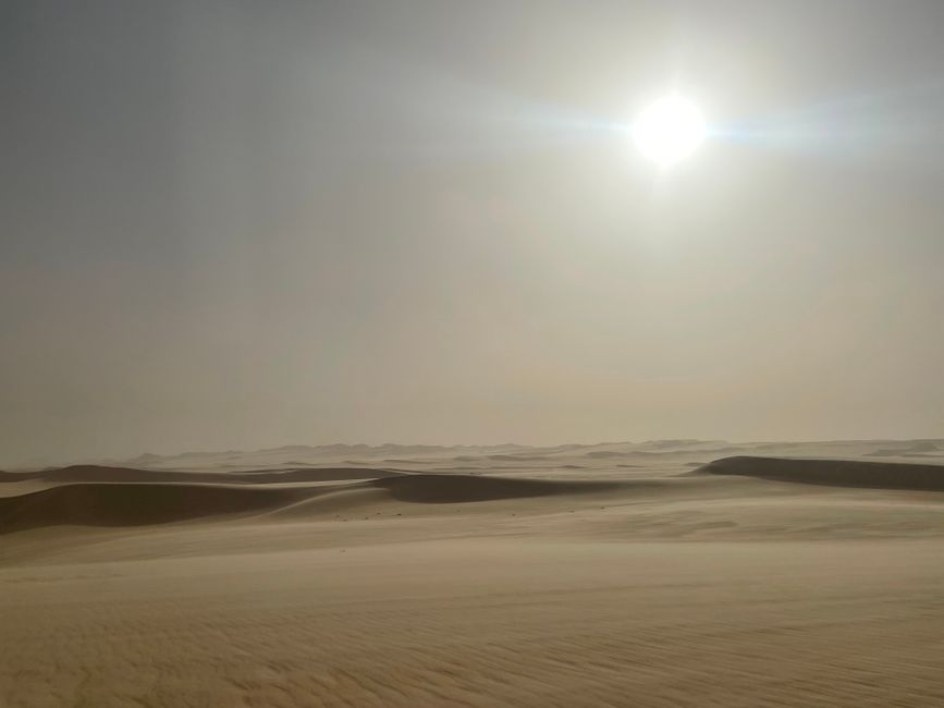 Die raue Sahara gehört zu den spektakulärsten Landschaften, die ich je in meinem Leben gesehen habe.