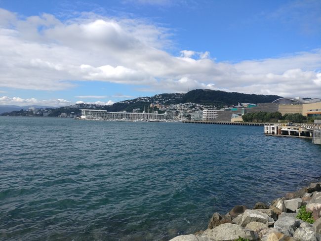 Wellingtoner Hafen
