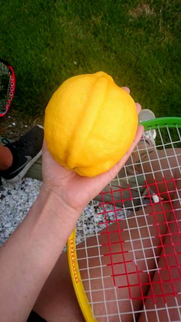 Lemon from the garden