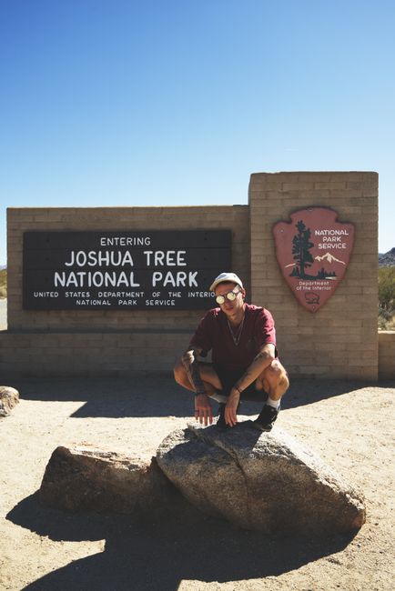 Tag 252: Joshua Tree National Park