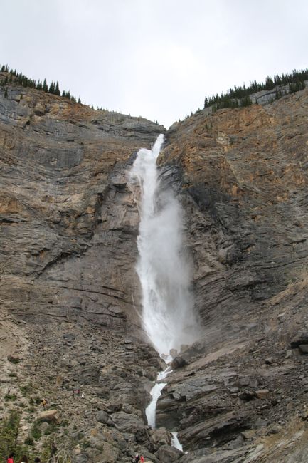 at Takakkaw Falls... the path there was full of hairpin bends