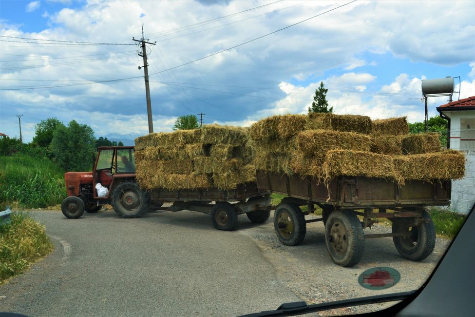 A full wagon of hay also drives on the road on the outskirts of Shkodra. 