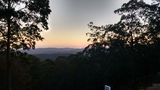Mt Coot-tha lookout