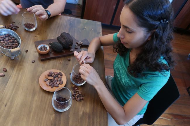 During the chocolate tasting