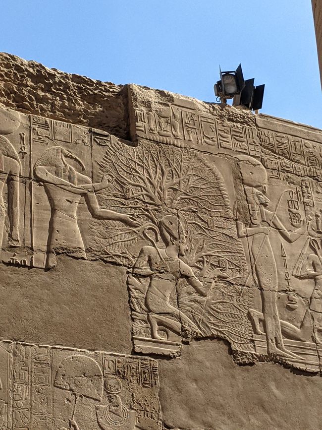 Abbildung des Lebensbaumes im Karnak Tempel