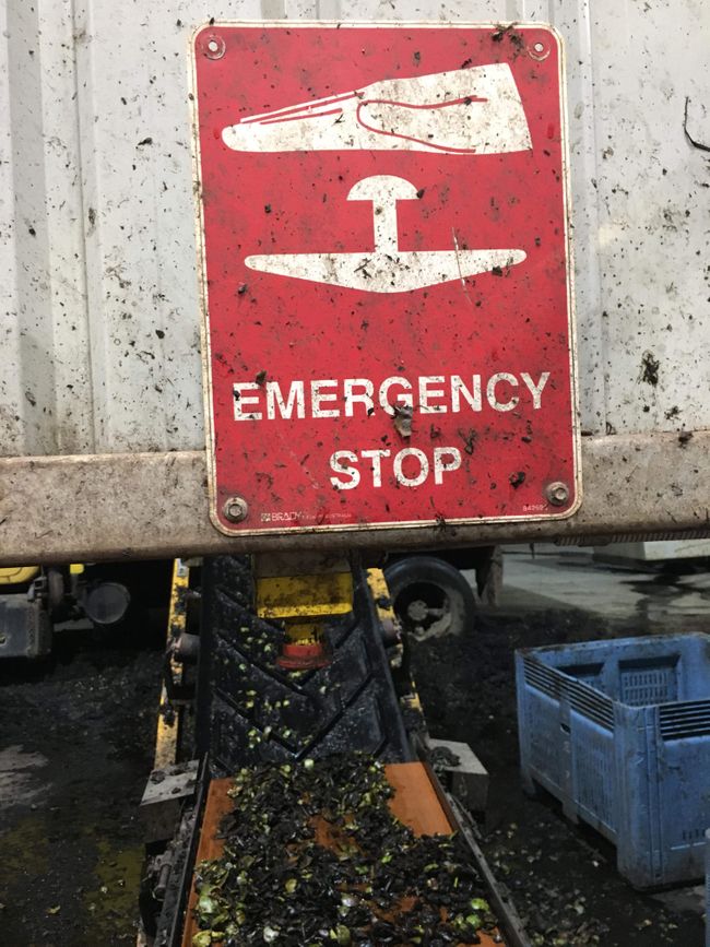Emergency stop am Wastebelt