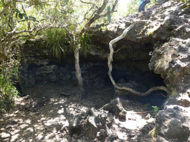 Entrances to the lava caves