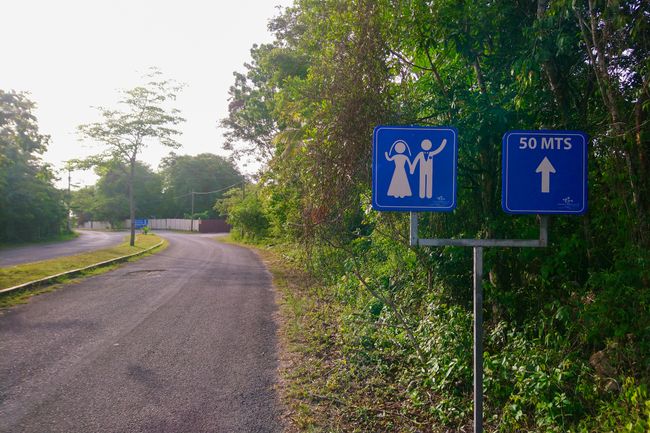 Auf der Fahrradtour. Diese Straßenzeichen habe ich so vorher auch noch nicht gesehen. Zwangsheirat?! 